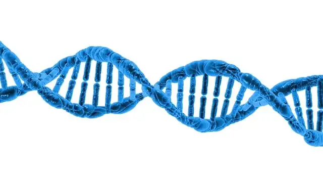 Ancient DNA: Chernobyl Survivors & Genetic History Research