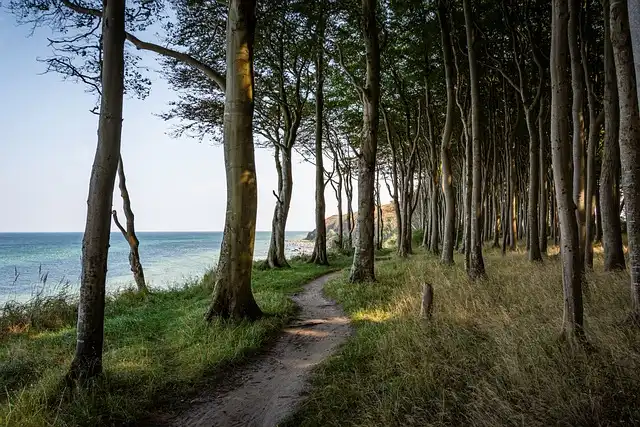 Ghost Forests: Coastal Transformation & Marsh Encroachment