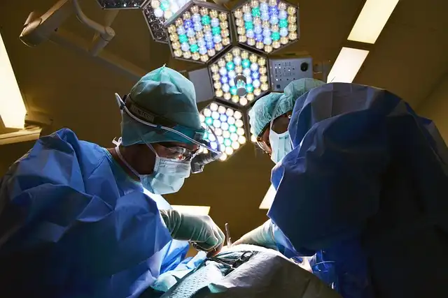 Ovarian Cysts: Types, Symptoms, and Treatment Options