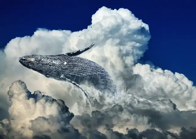 Ancient Whale Bone Tools: Stone Age Technology & Diet