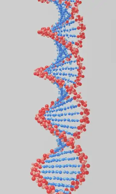 Longevity Genes: Immunity, DNA Repair & Lifespan in Mammals