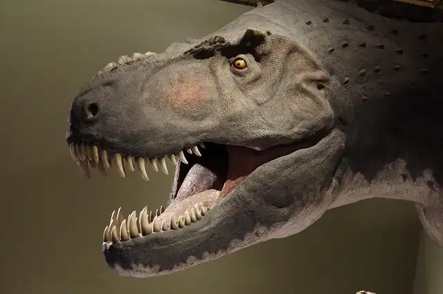 T. Rex: Asian Ancestors Migrated to North America