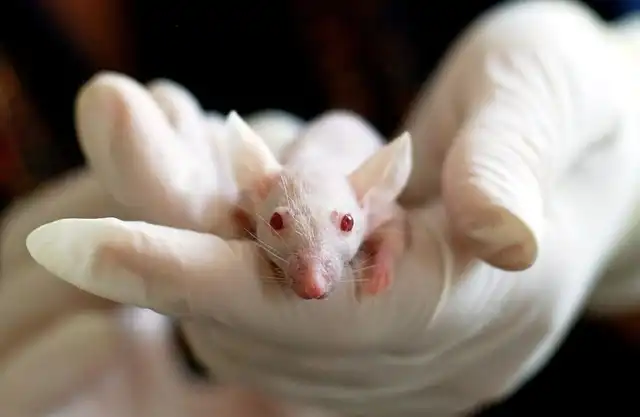 LLMs Oversimplify Scientific Findings: Risks & Concerns