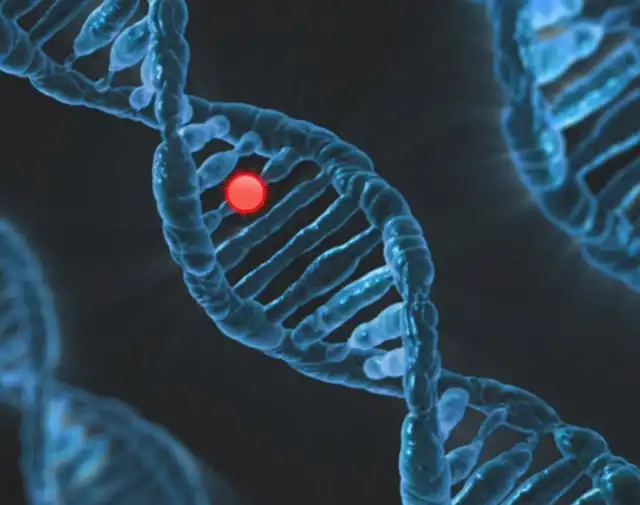 Three-Parent Babies: Preventing Mitochondrial Disease