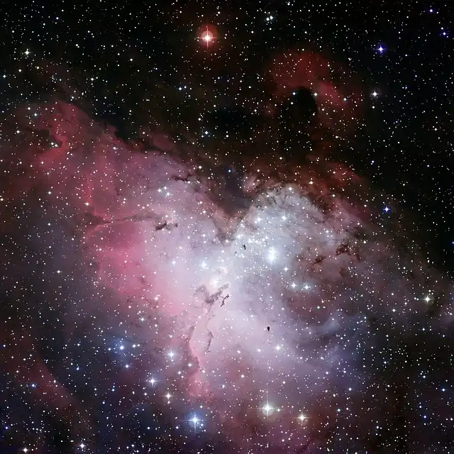 Pismis 24: Stellar Winds Sculpting a Galactic Dreamscape