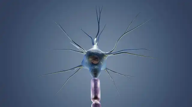 Brain’s Reaction to Color: Common Patterns Found