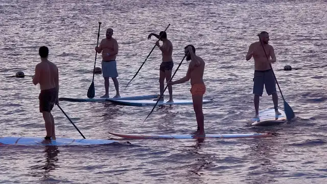 Dad Jokes & Human Extinction: Comedy Meets Science!