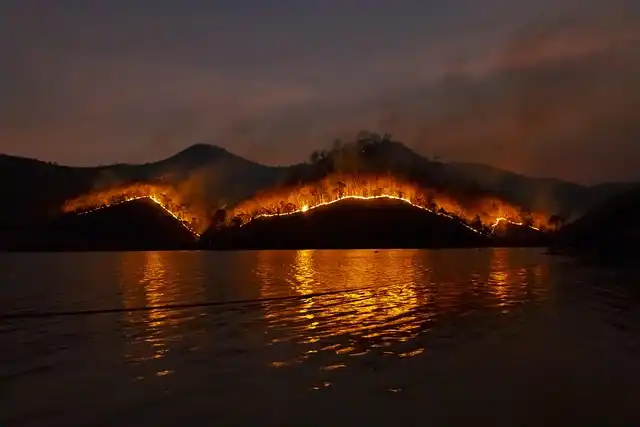 Canada’s Wildfires: Causes, Impacts, and Climate Change
