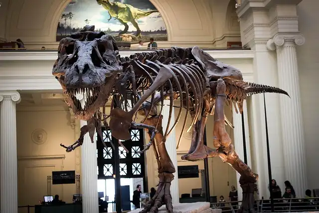 T. Rex Was Warm-Blooded: New Study Estimates Dinosaur Body Temperature